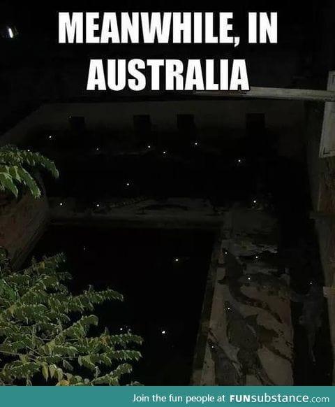 Wait.... THOSE AREN'T STARS!