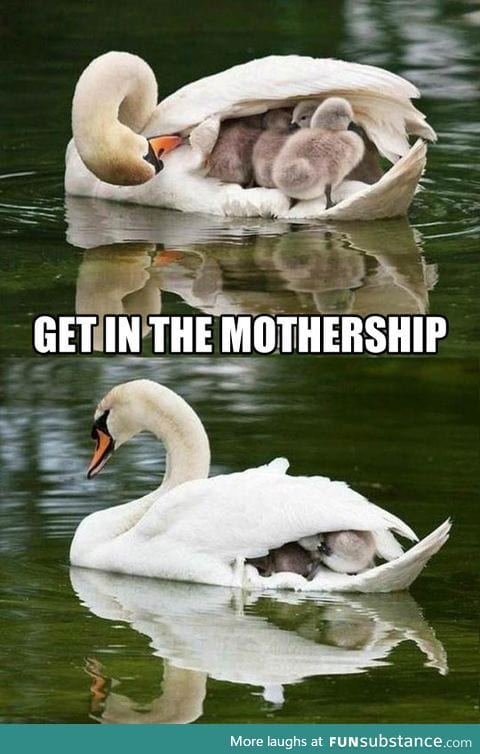 The mothership had arrived