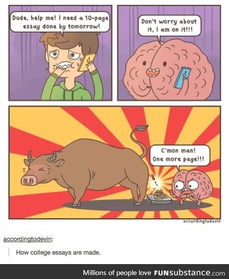 My brain doing last minute essays