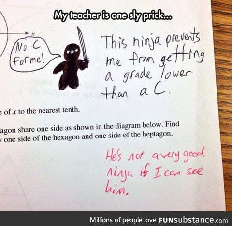 The test ninja