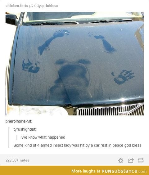 Dem insect*tties