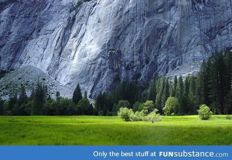 Beautiful Meadow in Yosemite