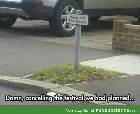 What is this, a festival for ants?