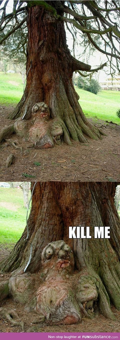 Mutant tree