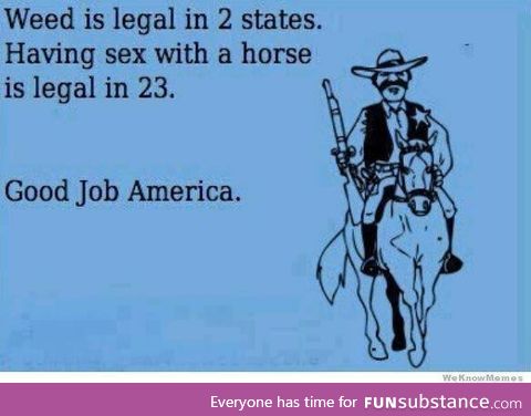 Damnit america