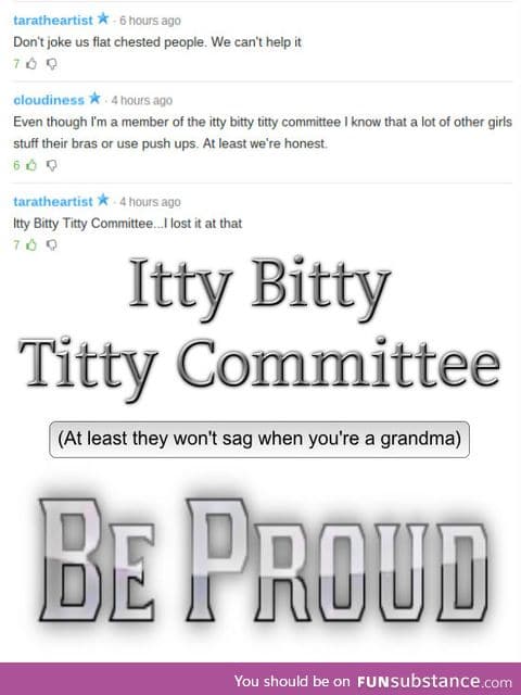 Ladies and gentleman, the Itty Bitty t*tty Committee.