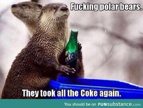 f*cking polar bears