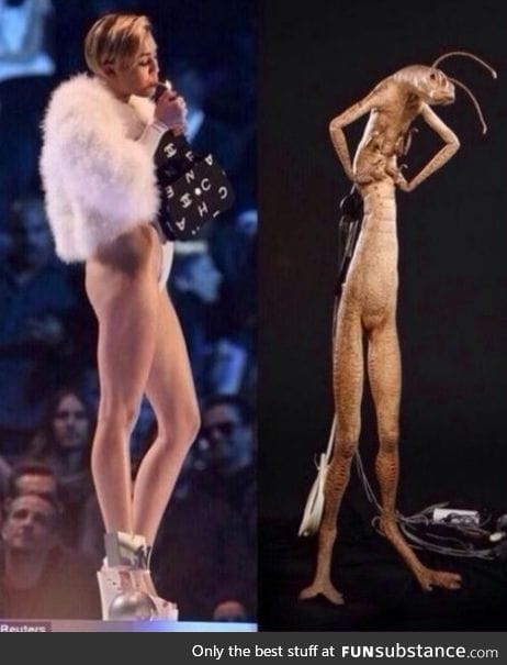 Sorry Miley