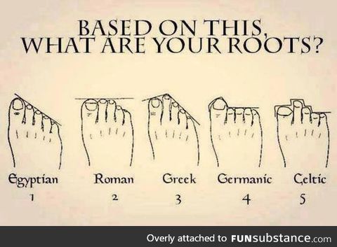 I'm Egyptian