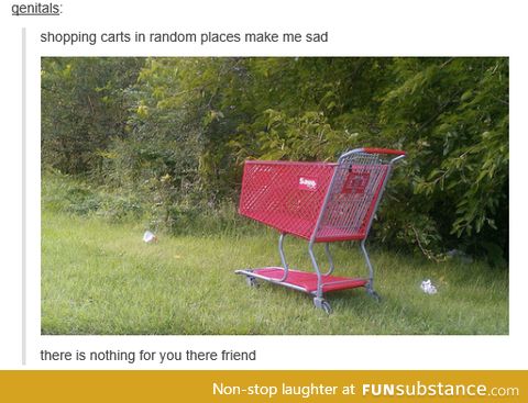 Shopping karts