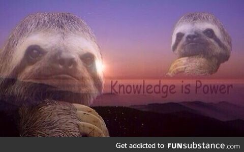 *studies for 2 minutes*