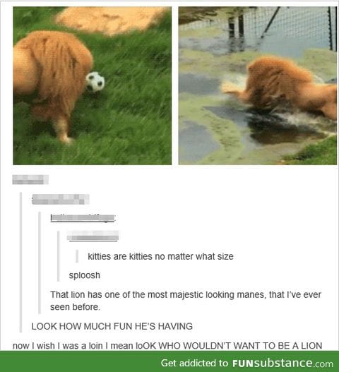 sploosh