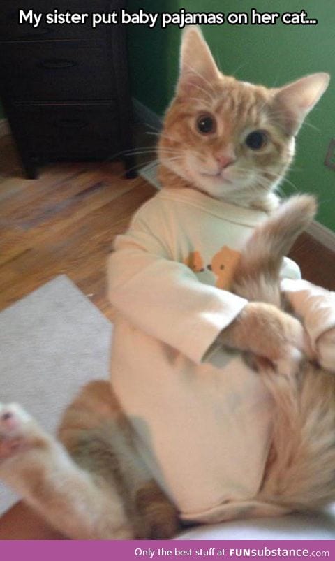 Cat in pajamas