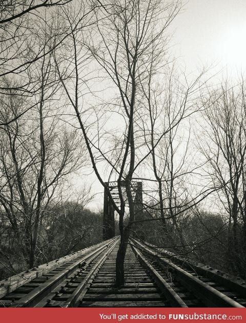 Something tells me the train hasn't been by in a while