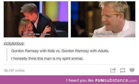 Gordon Ramsey is my spirit animal