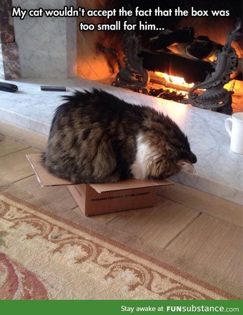 Doesn't fit, still sits