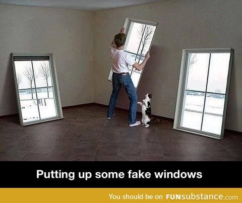 Putting up some fake Windows