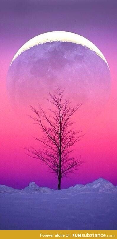 Winter moonrise