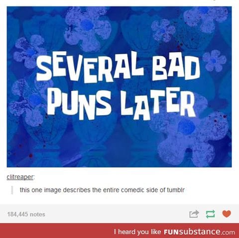 Tumblr in a nutshell