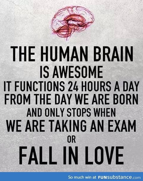 And this is the human brain...