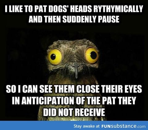 Oh doggie, you so silly
