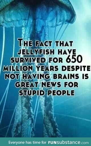 Survive without a brain