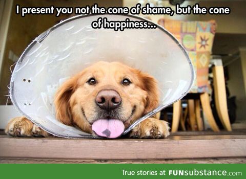 The cone of happiness