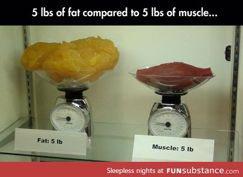 Fat vs. Muscle