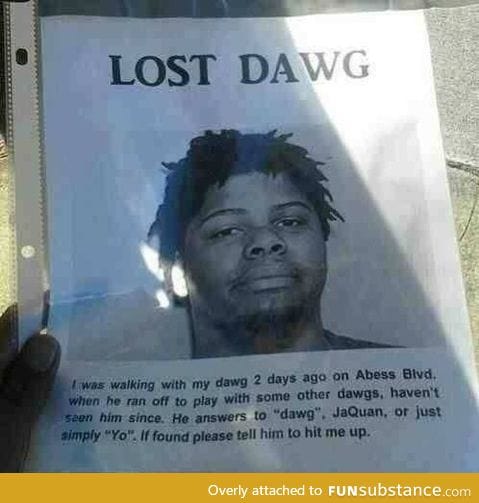 *REWARD* lost dawg