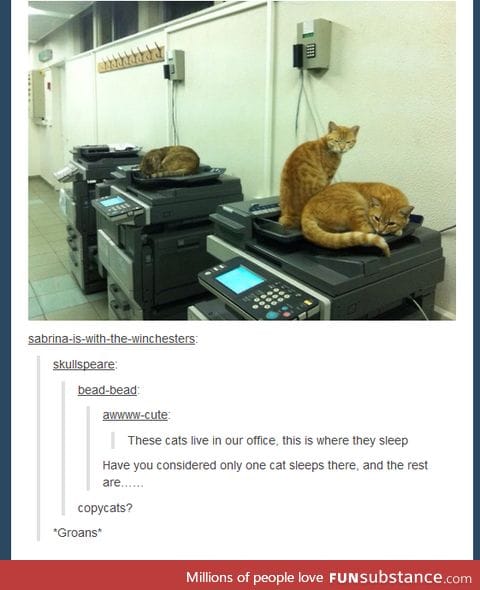 Copycats