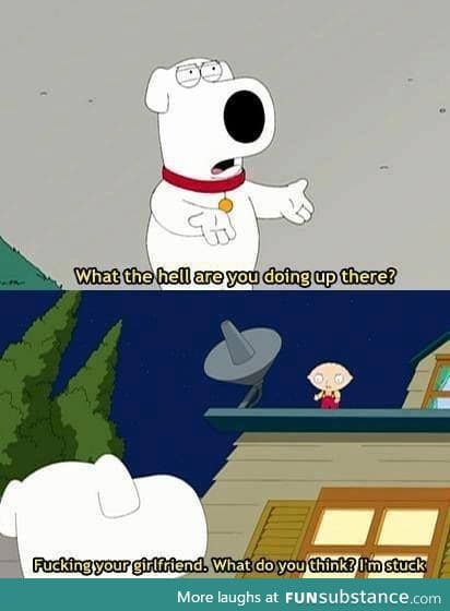Getting tired of your sh*t, Brian