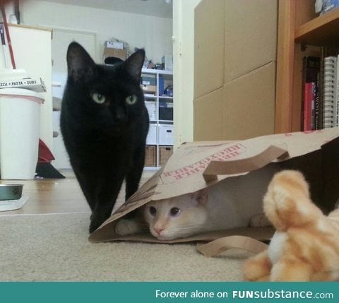 Spy vs Spy