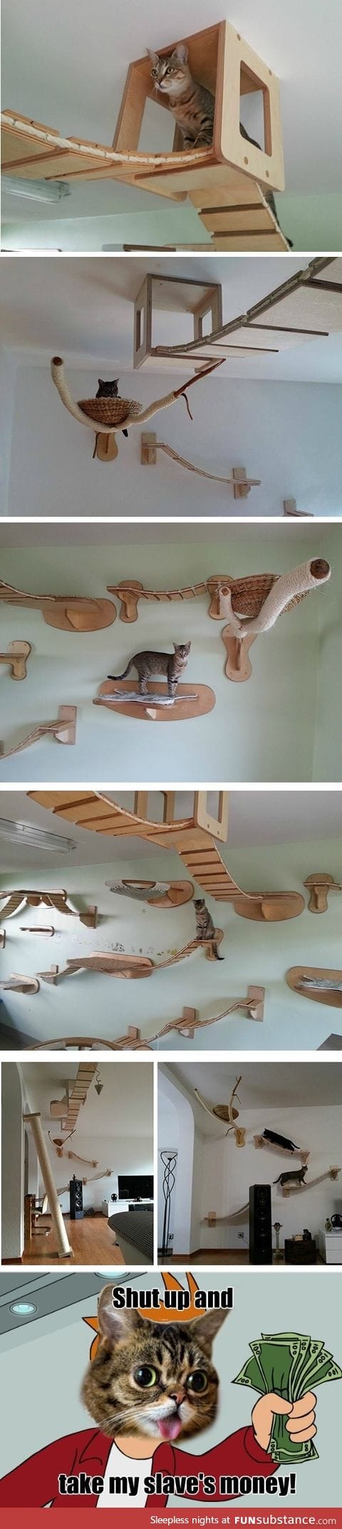 Cat furniture