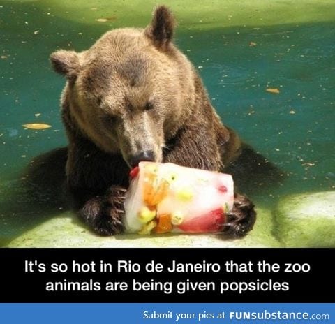 Popsicle
