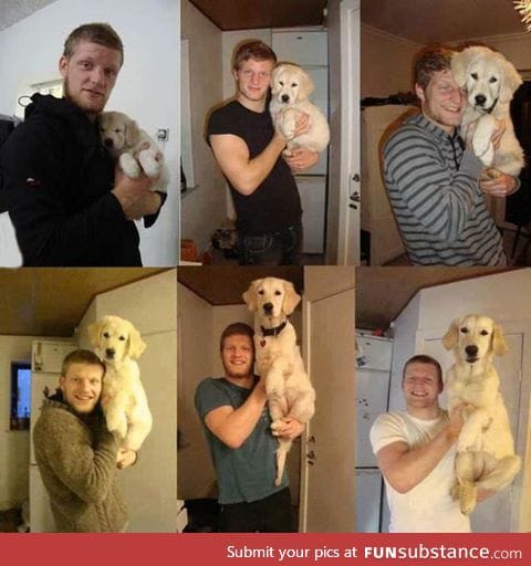 Best of friends forever