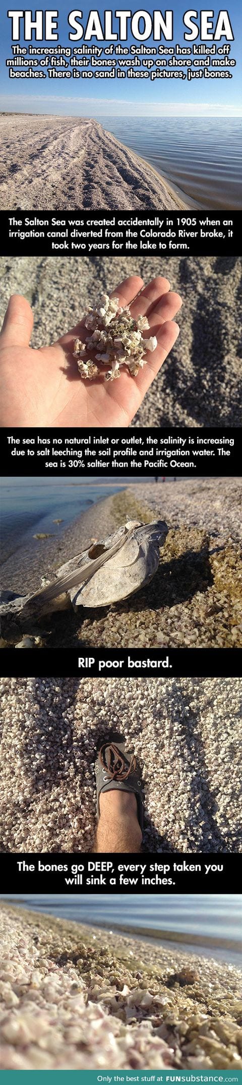 The creepy story of the Salton Sea