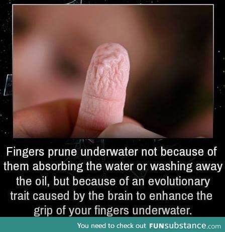 Did you know?
