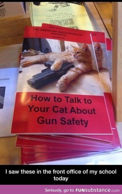 Gun safety