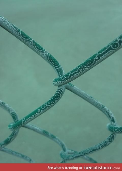 Tiny aliens visited this fence