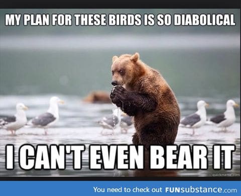 It's just dibotical