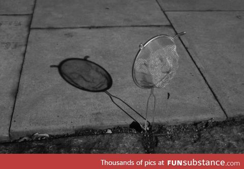 Strainer shadow