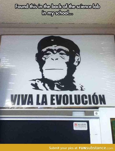 Evolución o muerte