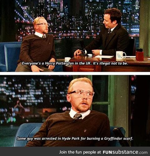 Who Isn't a Harry Potter Fan?