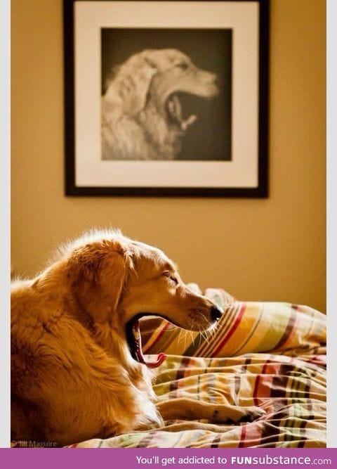 here you have a perfect timing picture!