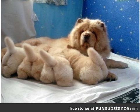 Oh my god! I love fuzzy butts!!!