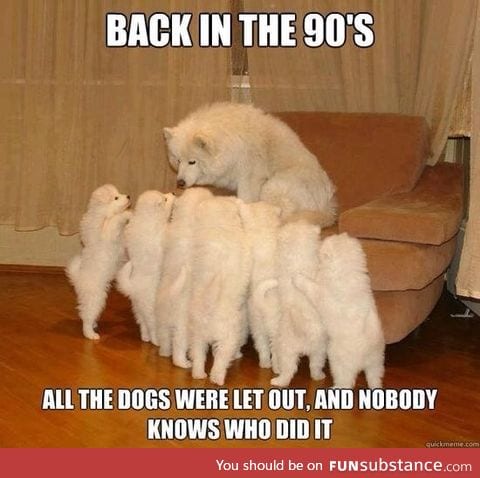 Just a bed time story for the puppies