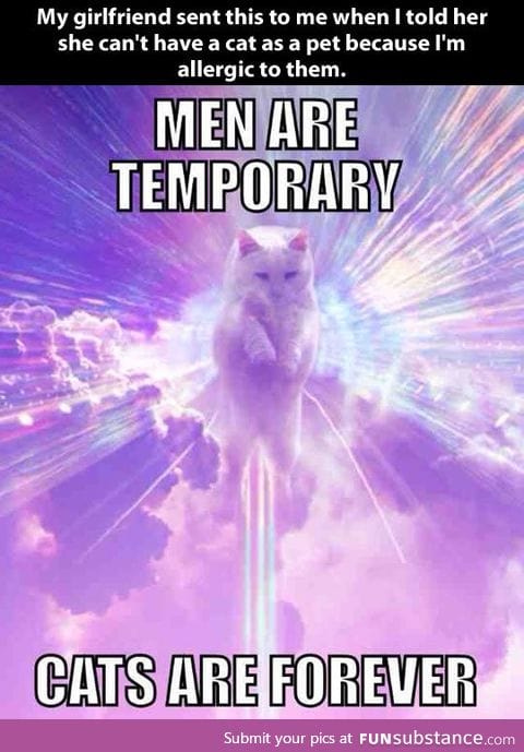 CATS ARE FOREVER