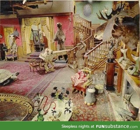 original set of the Addams family in color