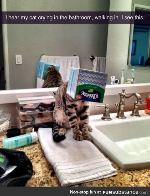 If it fits, I stick my head in its