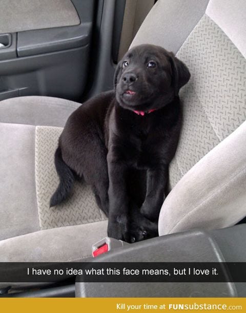 No idea what this face means